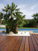 REMMERS TUINHOUTOLIE ECO